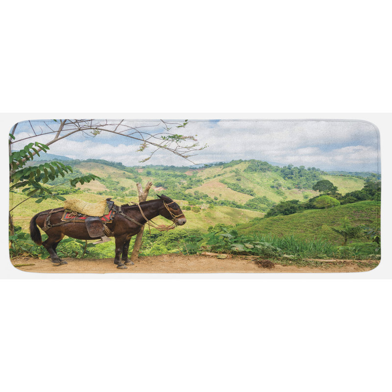 Tapis de cuisine Donkey