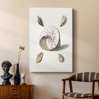 Pastel Knorr Shells II - galerie Cavas sur mesure