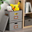 Ebern Designs Decorative Bin-198580039-198580036