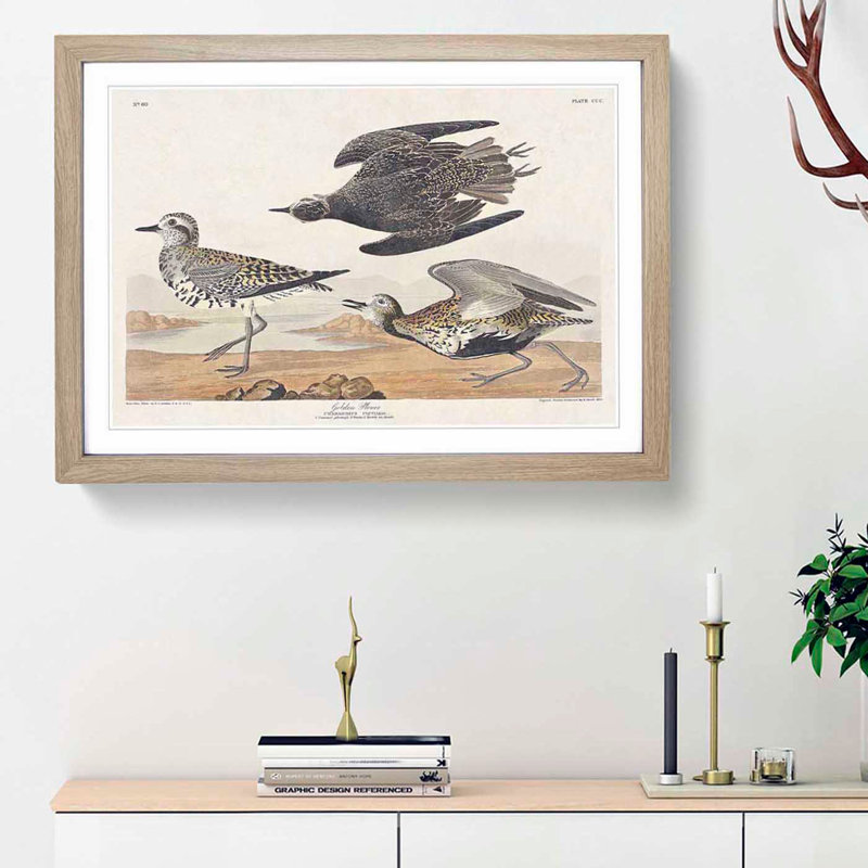 Golden Plover Birds by John Audubon - Framed Print, 27cm H x 36cm W x 2cm D, Oak Framed