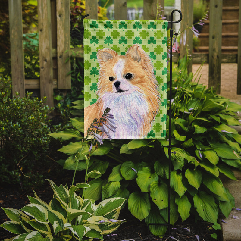 Drapeau de jardin à 2 côtés st. patrick day trèfle, Chihuahua (beige et blanc)