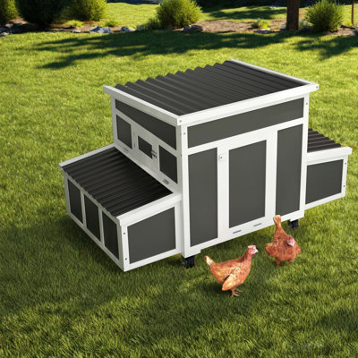 Poulaillers spacieux, ferme en bois et plastique portable