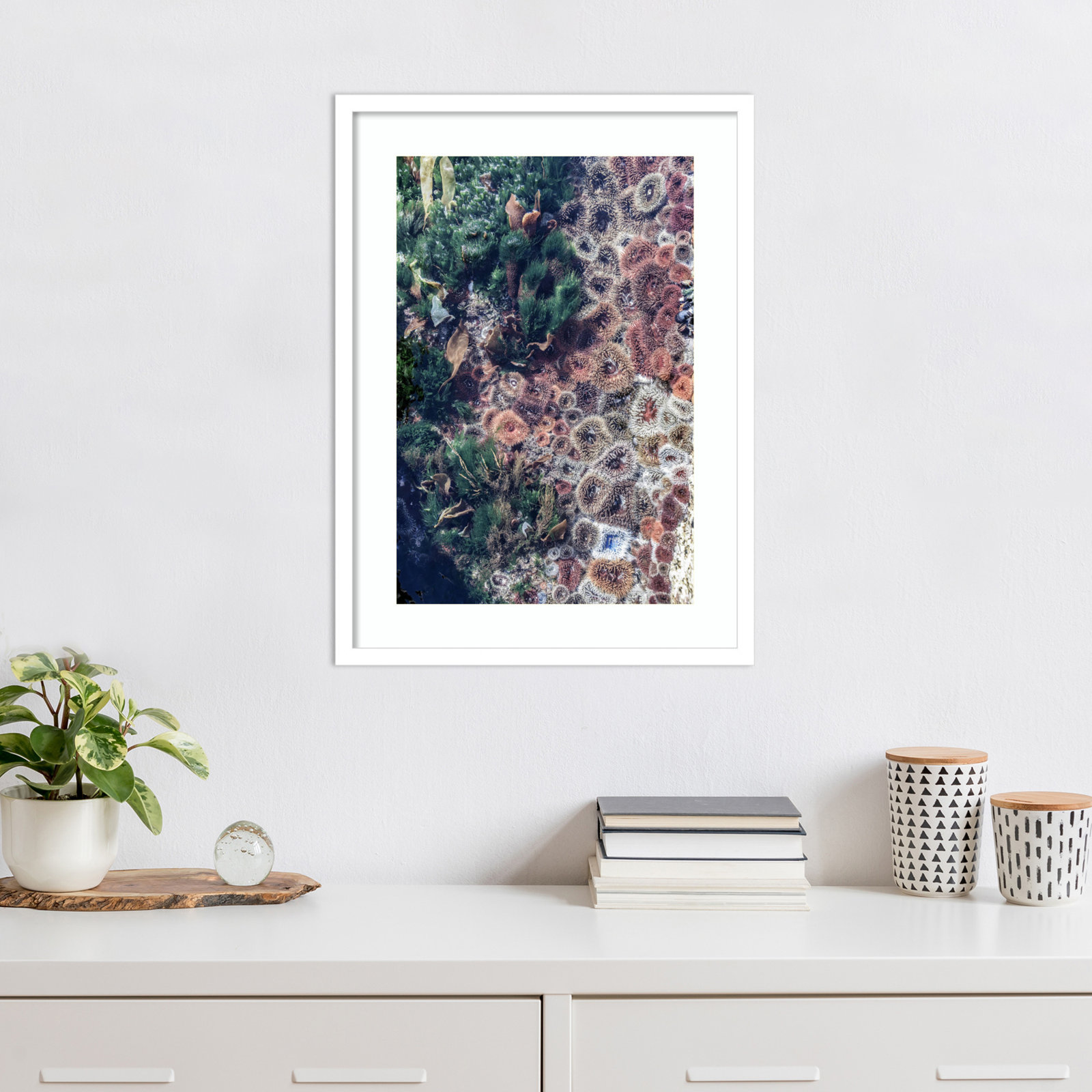 Daisey "Ocean Curiosities" Print, White, 25" H x 19" W