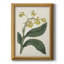 Toile encadrée de qualité supérieure Antique Botanical Collection X - prête à être accrochée-378111425