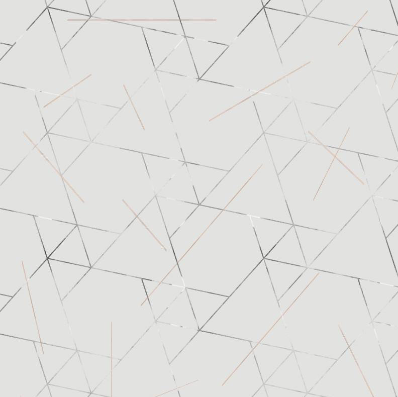 Geometric Vinyl Wallpaper Roll by Jamie Graney, Gray/Silver Leaf