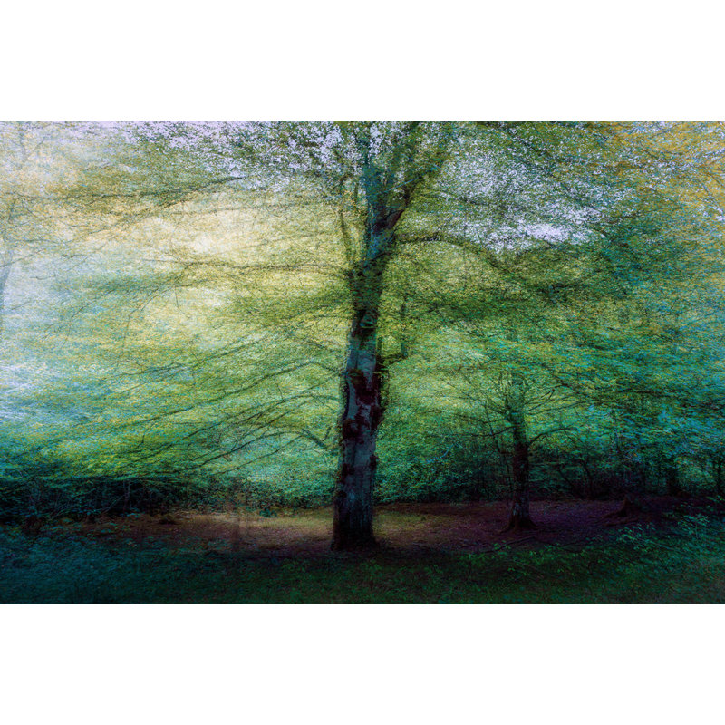 Wrapped Canvas Print, 60.96cm H x 91.44cm W