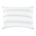 White/Ocean