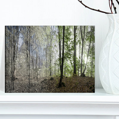 «Green Morning in Forest Panorama», reproduction de photo sur toile tendue