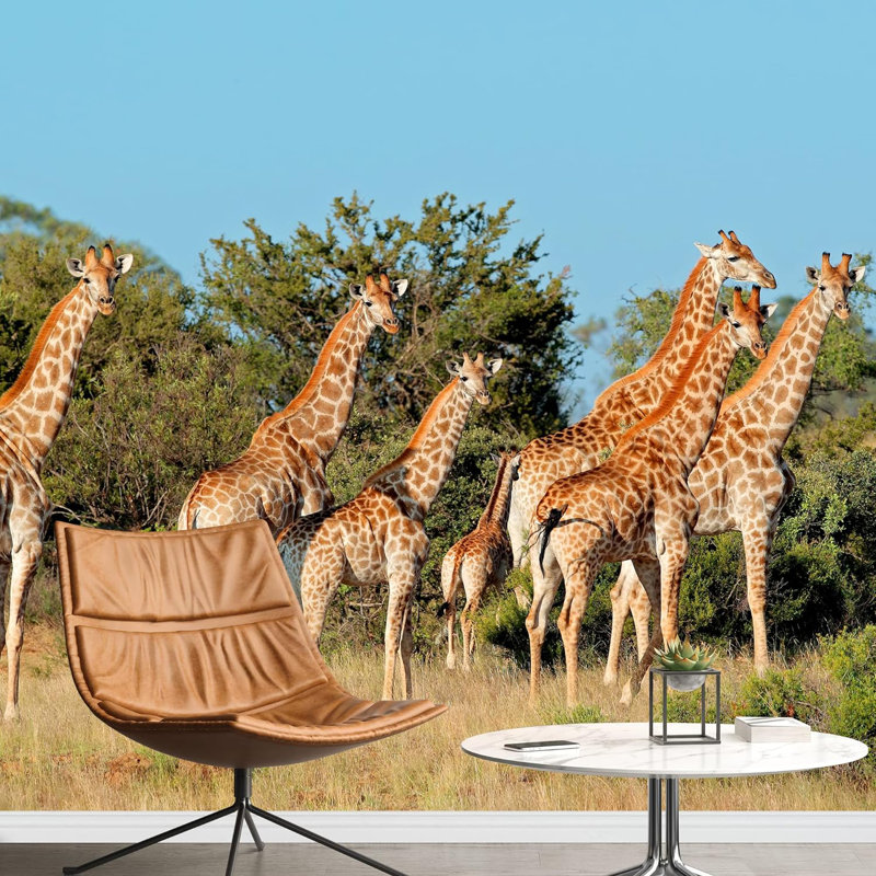 Safari africain, girafe, savane, animaux, photographie de nature, paysage décoratif, L 100 po x l 144 po
