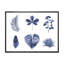Ensemble de feuilles de plantes - reproduction sur toile avec cadre flottant-59638471-59638475