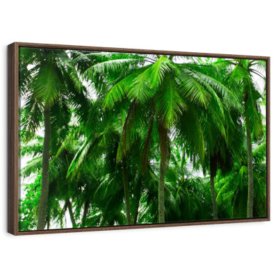 Palm Tree Forest