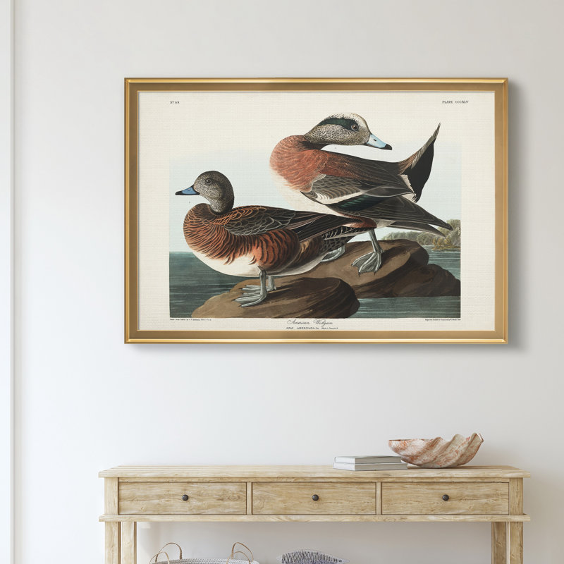 American Widgeon - reproduction d'art sur toile encadrée, H 22,5 po x l 30,5 po x P 1,5 po, Doré