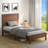 Algene Platform Bed-242550563-242550561