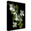 «Dogwood» par Dosta, impression sur toile tendue-29223397