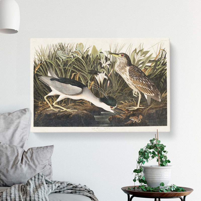 Night Heron - Wrapped Canvas Painting, 40cm H x 60cm W x 3cm D