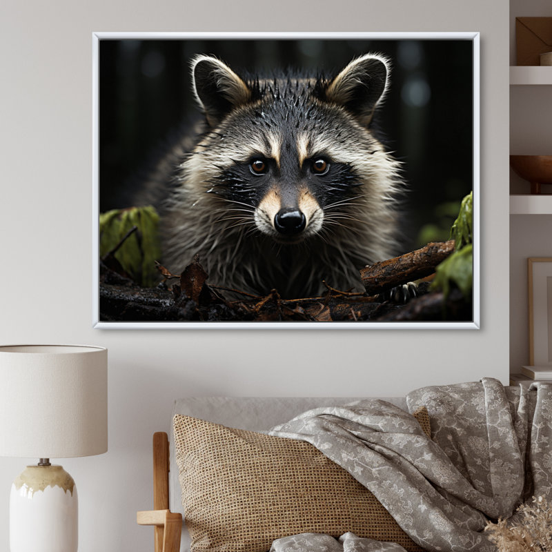 Curious Raccoon II sur impression sur toile, Cadre flottant blanc, H 16 po x l 32 po x P 1 po