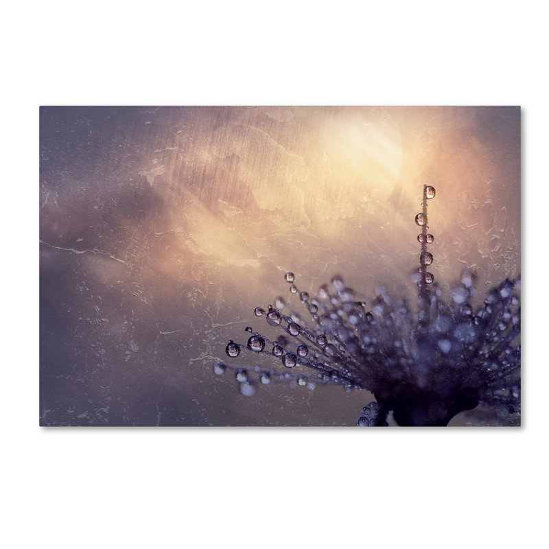 Botanical Dew Drops on Canvas Art Print