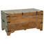 Breandrea Accent Trunk