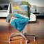 Coussin Schafer