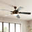60'' Ceiling Fan with LED Lights-361292352