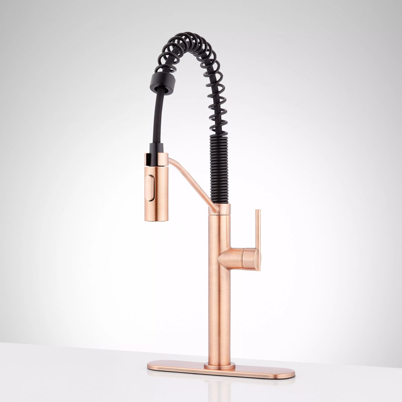 Eiler Single Handle Deck Mounted Pre-Rinse Pull Down Kitchen Faucet with Deck Plate