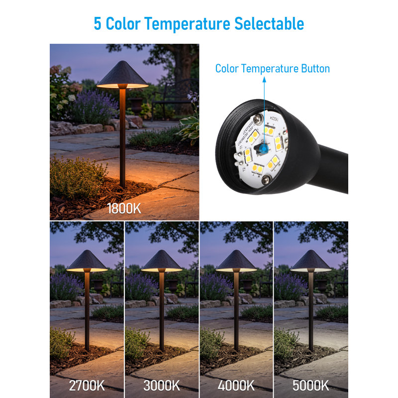 Low Voltage LED Landscape Path Light, 12-24V AC/DC, 5CCT Golden Edge Black Vintage Pathway Light, Black