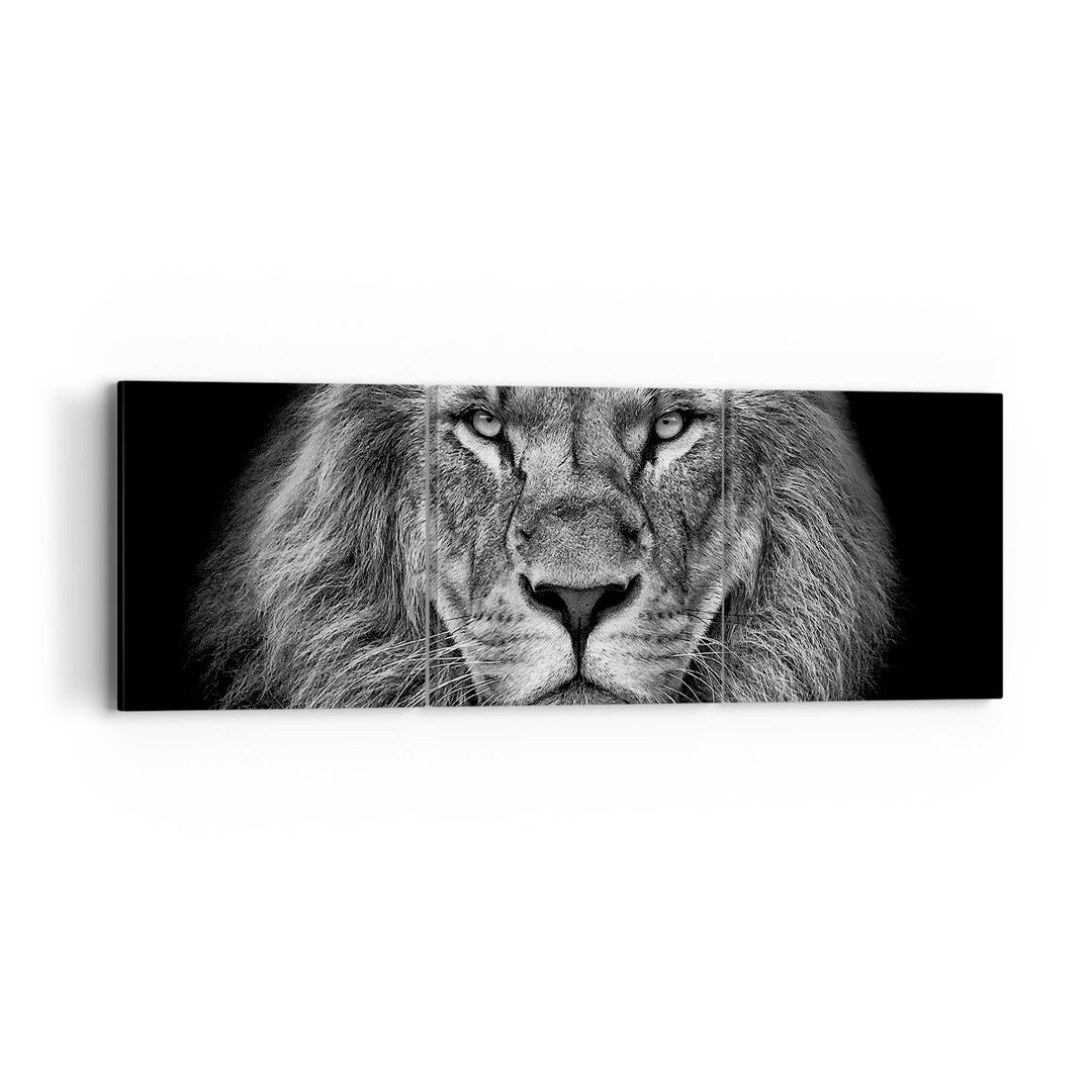 3-tlg. Leinwandbilder-Set Portrait Lion Black and White