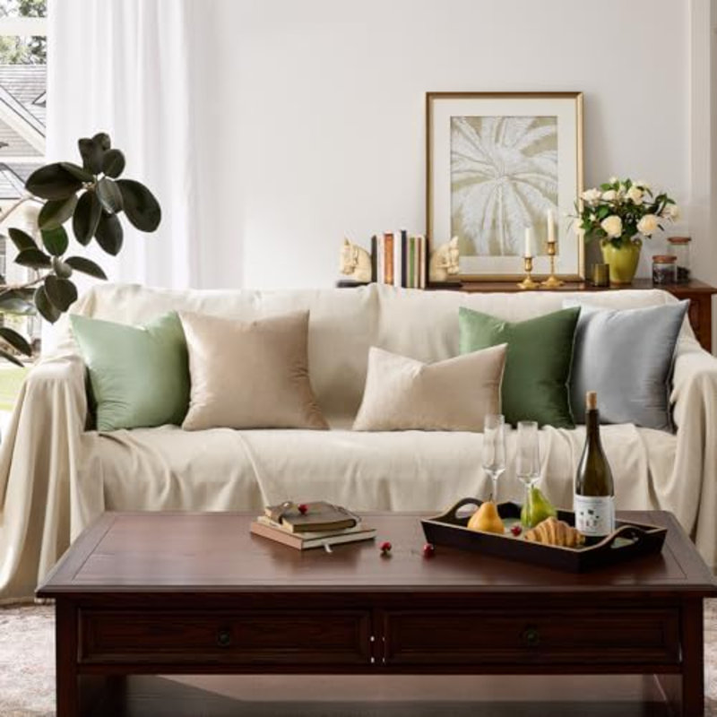 Ensemble de 2 coussins décoratifs en velours taupe 18 x 18