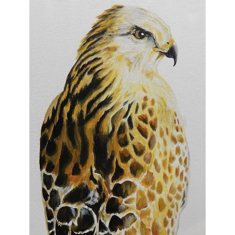 «Hawk», reproduction, H 24 po x l 18 po, Pas de tapis, Toile tendue