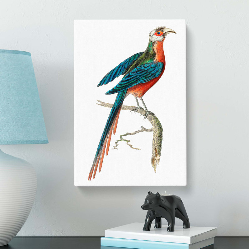 Curve-billed Cuckoo by George Shaw - Wrapped Canvas, 60cm H x 40cm W x 3cm D