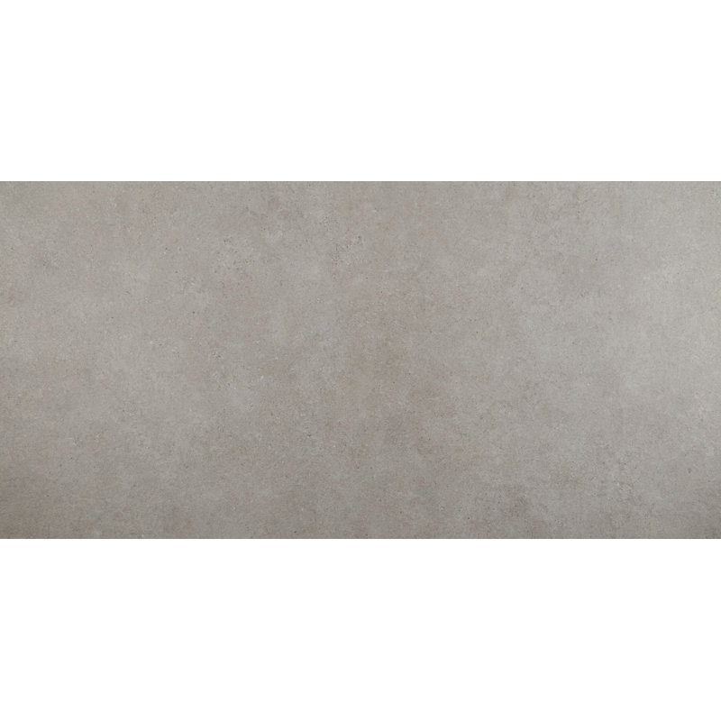 Haut Monde 24" x 48" Porcelain Concrete Look Floor Use Tile