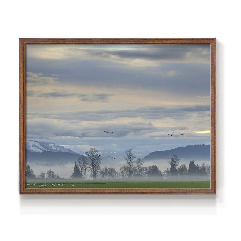 «Misty Horizon», impression encadrée, H 11 po x l 14 po, Noyer