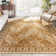 Chimeng Oriental Indoor Rug