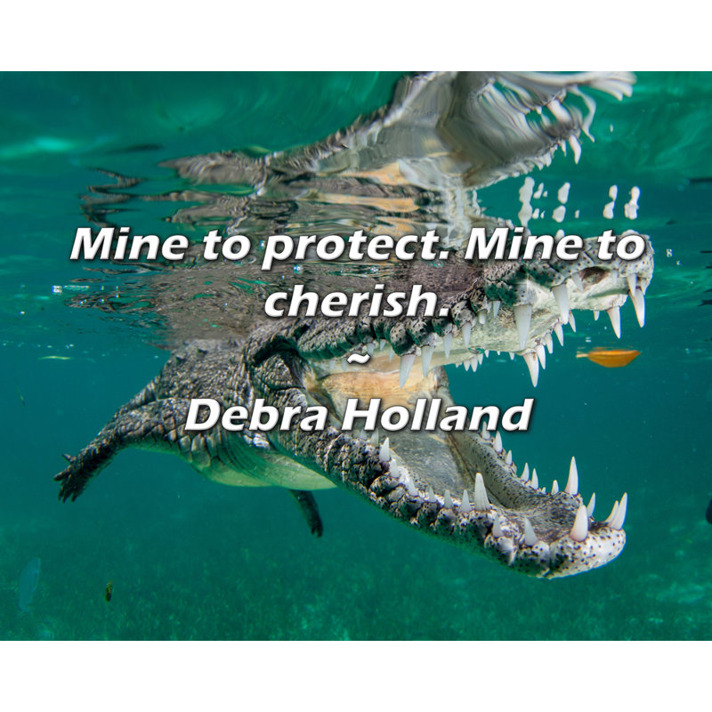 Citation de Debra Holland: Mine à protéger. Mine à chéri., H 20 po x l 24 po
