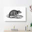 Rat Illustration - Wrapped Canvas Print-55330500