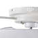 19.7" Beilin Ceiling Fan with LED Lights