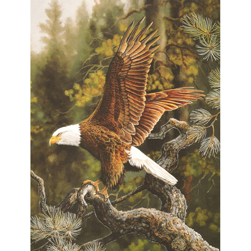 Perche d'aigle