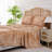 Microfiber Floral Sheet Set-92076775-92076764