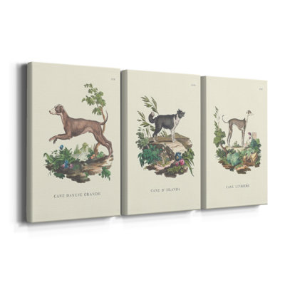 French Dogs I  -Custom Wrapped Gallery Canvas - 3 Pieces