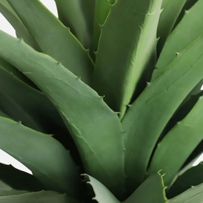 Agave plante artificielle avec pot, H 27 po x l 6 po x P 7 po