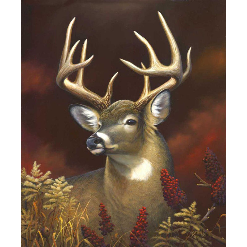 Art sur toile tendue par Millwood Pines Stans, Leo, titré: Portrait de cerf, H 33 po x l 28 po