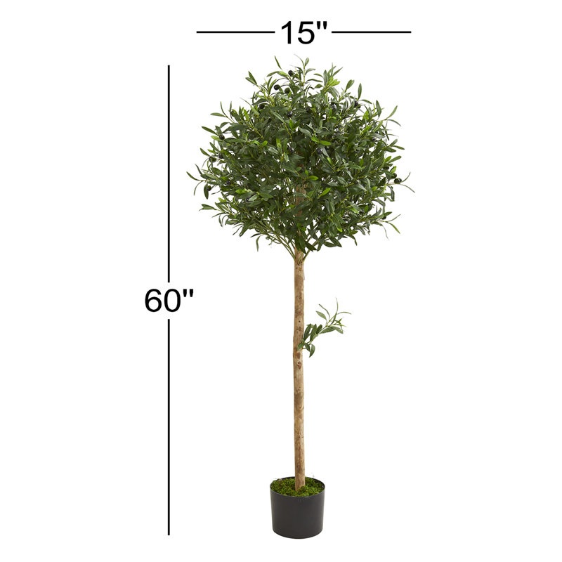 60'' Faux Olive Tree Topiary in Planter