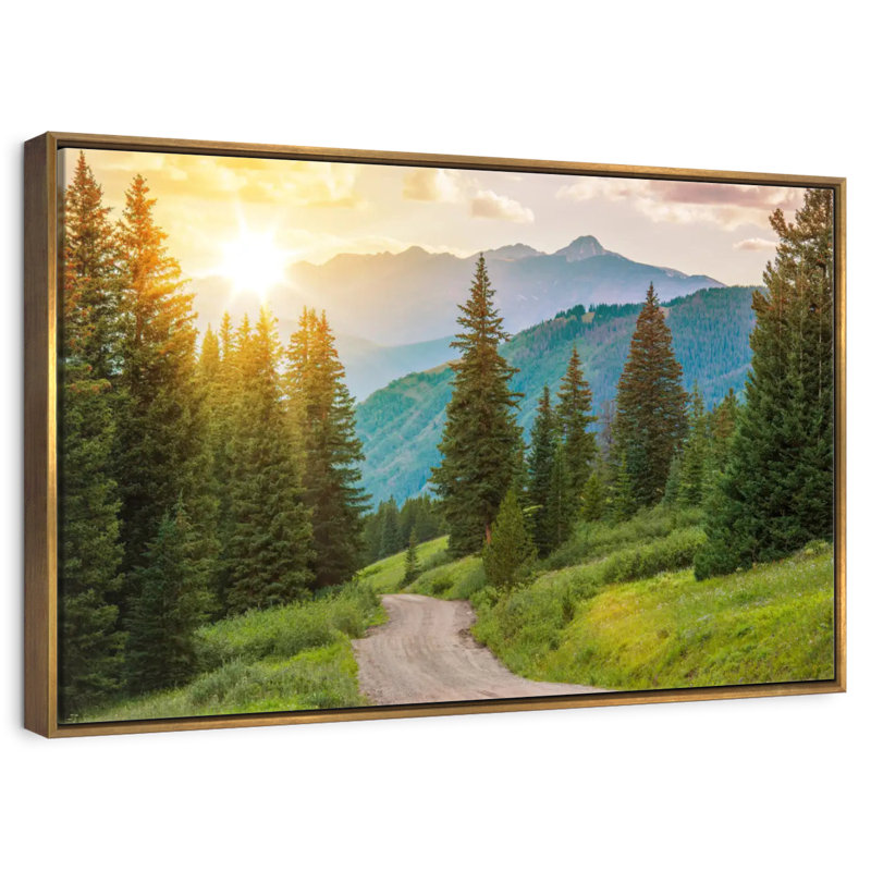 Forêt de pins du Colorado, 19 po x 13 po, Cadre flottant doré