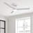 Brend 52'' Ceiling Fan with LED Lights-1444373065