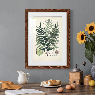 Collectionner Ferns VII Premium encadré mat - prêt à être accroché