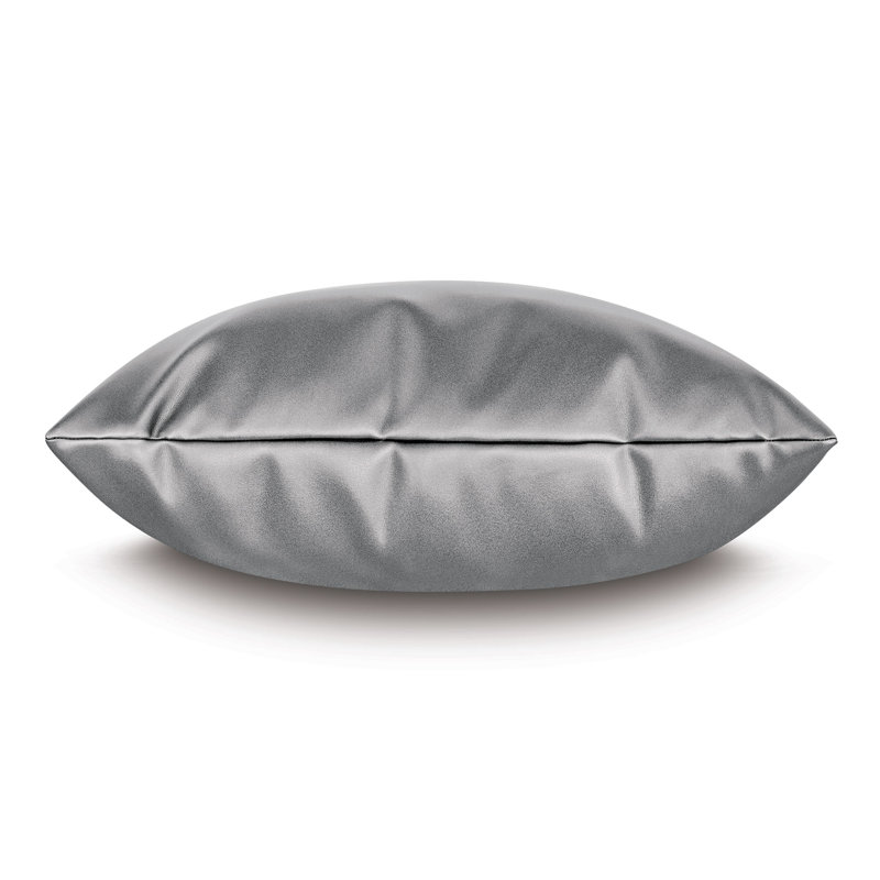 Housse de coussin en cuir Klein Klein, Acier, H 24 po x l 24 po