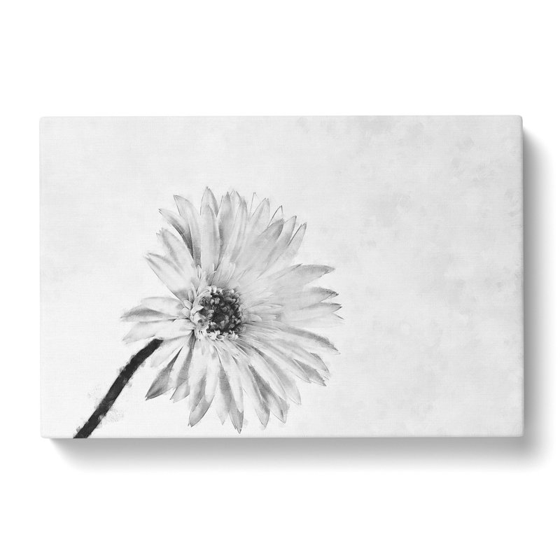 Flower Sketch - Wrapped Canvas Painting, 50cm H x 76cm W x 3cm D