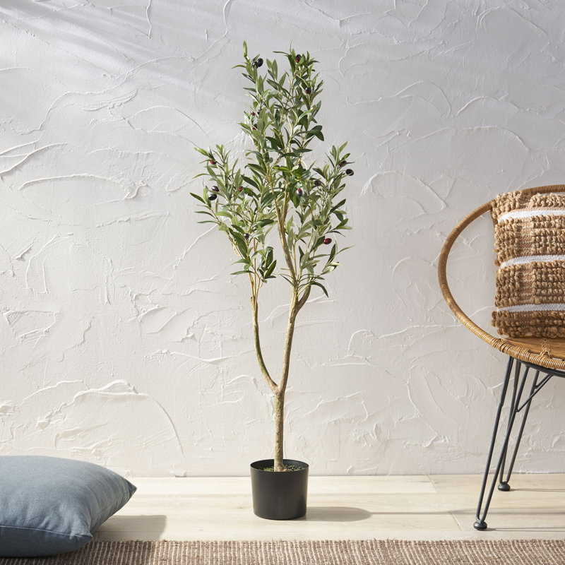 Aarav Faux Olive Tree Tree in Pot, 47" H  x 19" W x 15" D