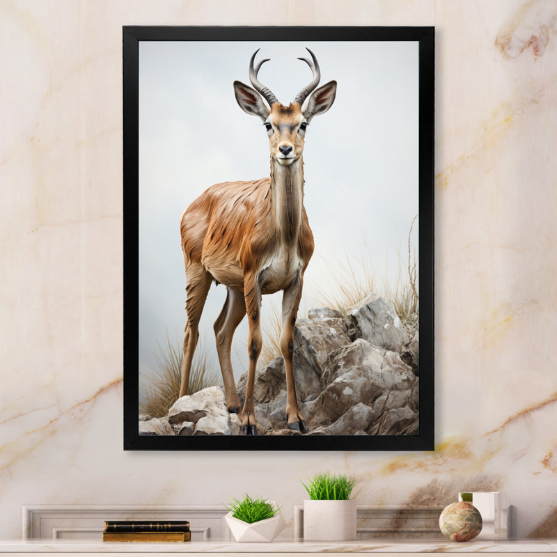 Graceful Antelope III - Imprimé, Cadre d'angle fermé noir, H 32 po x l 24 po x P 1 po