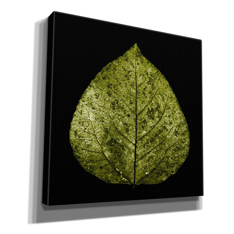 «Feuille verte» par PhotoINC Studio, H 37 po x l 37 po x P 1,5 po